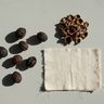 Plant Dyeing 101: Start with Walnut Hulls